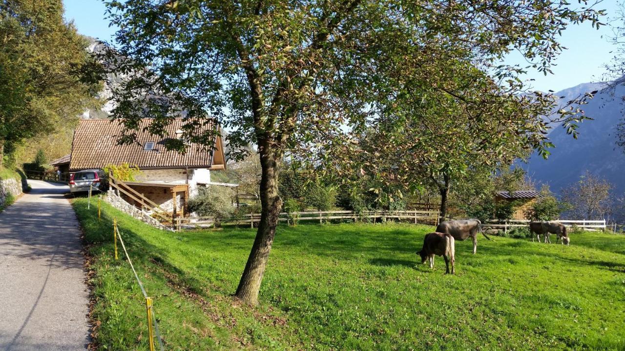 Chalet La Nos Molina di Ledro Δωμάτιο φωτογραφία